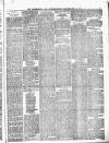 Peterborough Standard Saturday 25 December 1875 Page 3