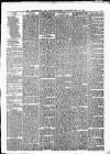 Peterborough Standard Saturday 15 June 1878 Page 3