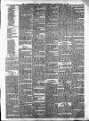 Peterborough Standard Saturday 28 December 1878 Page 3