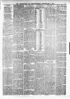 Peterborough Standard Saturday 01 February 1879 Page 3