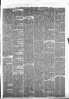 Peterborough Standard Saturday 08 February 1879 Page 7