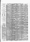 Peterborough Standard Saturday 02 February 1889 Page 3