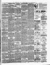 Peterborough Standard Saturday 25 March 1893 Page 6