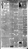 Peterborough Standard Saturday 31 March 1917 Page 3