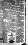 Peterborough Standard Saturday 15 February 1919 Page 3