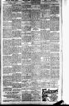 Peterborough Standard Saturday 24 May 1919 Page 3