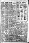 Peterborough Standard Saturday 14 February 1920 Page 7