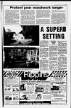 Peterborough Standard Thursday 23 January 1986 Page 31