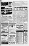 Peterborough Standard Thursday 23 January 1986 Page 79