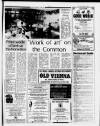 Chelsea News and General Advertiser Thursday 02 October 1986 Page 27