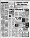 Chelsea News and General Advertiser Thursday 09 March 1989 Page 33