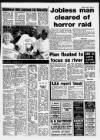 Chelsea News and General Advertiser Thursday 08 June 1989 Page 41
