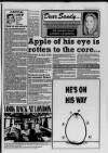 Chelsea News and General Advertiser Wednesday 10 February 1993 Page 15