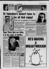 Chelsea News and General Advertiser Wednesday 10 February 1993 Page 17