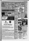 Chelsea News and General Advertiser Thursday 05 January 1995 Page 27