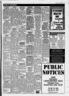 Chelsea News and General Advertiser Thursday 19 January 1995 Page 29