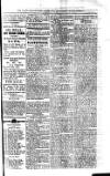 Saint Christopher Advertiser and Weekly Intelligencer Tuesday 29 October 1872 Page 3