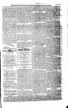 Saint Christopher Advertiser and Weekly Intelligencer Tuesday 28 January 1873 Page 3