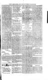 Saint Christopher Advertiser and Weekly Intelligencer Tuesday 04 March 1873 Page 3