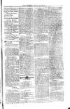 Saint Christopher Advertiser and Weekly Intelligencer Tuesday 15 April 1873 Page 3