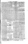 Saint Christopher Advertiser and Weekly Intelligencer Tuesday 29 April 1873 Page 3