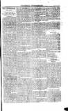 Saint Christopher Advertiser and Weekly Intelligencer Tuesday 20 May 1873 Page 3