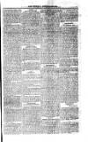 Saint Christopher Advertiser and Weekly Intelligencer Tuesday 03 June 1873 Page 3
