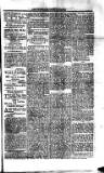 Saint Christopher Advertiser and Weekly Intelligencer Tuesday 29 July 1873 Page 3