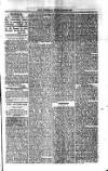 Saint Christopher Advertiser and Weekly Intelligencer Tuesday 30 September 1873 Page 3