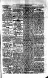 Saint Christopher Advertiser and Weekly Intelligencer Tuesday 07 October 1873 Page 3