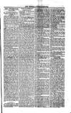 Saint Christopher Advertiser and Weekly Intelligencer Tuesday 16 December 1873 Page 3