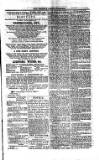 Saint Christopher Advertiser and Weekly Intelligencer Tuesday 23 December 1873 Page 3