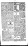 Saint Christopher Advertiser and Weekly Intelligencer Tuesday 13 January 1874 Page 3