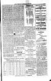 Saint Christopher Advertiser and Weekly Intelligencer Tuesday 06 April 1875 Page 3