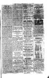 Saint Christopher Advertiser and Weekly Intelligencer Tuesday 01 June 1875 Page 3