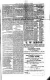 Saint Christopher Advertiser and Weekly Intelligencer Tuesday 06 July 1875 Page 3