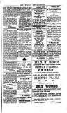 Saint Christopher Advertiser and Weekly Intelligencer Tuesday 29 August 1876 Page 3