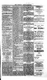 Saint Christopher Advertiser and Weekly Intelligencer Tuesday 20 January 1880 Page 3