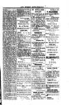 Saint Christopher Advertiser and Weekly Intelligencer Tuesday 02 March 1880 Page 3