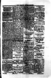 Saint Christopher Advertiser and Weekly Intelligencer Tuesday 06 April 1880 Page 3