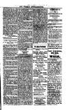 Saint Christopher Advertiser and Weekly Intelligencer Tuesday 06 July 1880 Page 3