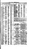 Saint Christopher Advertiser and Weekly Intelligencer Tuesday 07 December 1880 Page 3