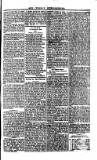 Saint Christopher Advertiser and Weekly Intelligencer Tuesday 04 January 1881 Page 3