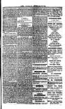 Saint Christopher Advertiser and Weekly Intelligencer Tuesday 18 January 1881 Page 3