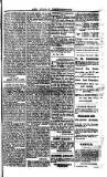 Saint Christopher Advertiser and Weekly Intelligencer Tuesday 01 February 1881 Page 3