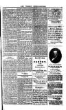 Saint Christopher Advertiser and Weekly Intelligencer Tuesday 22 February 1881 Page 3