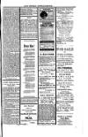 Saint Christopher Advertiser and Weekly Intelligencer Tuesday 04 July 1882 Page 3