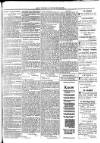 Saint Christopher Advertiser and Weekly Intelligencer Tuesday 09 January 1883 Page 3