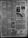Saint Christopher Advertiser and Weekly Intelligencer Tuesday 05 January 1897 Page 3