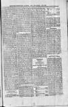 St. Christopher Gazette Friday 24 November 1871 Page 3